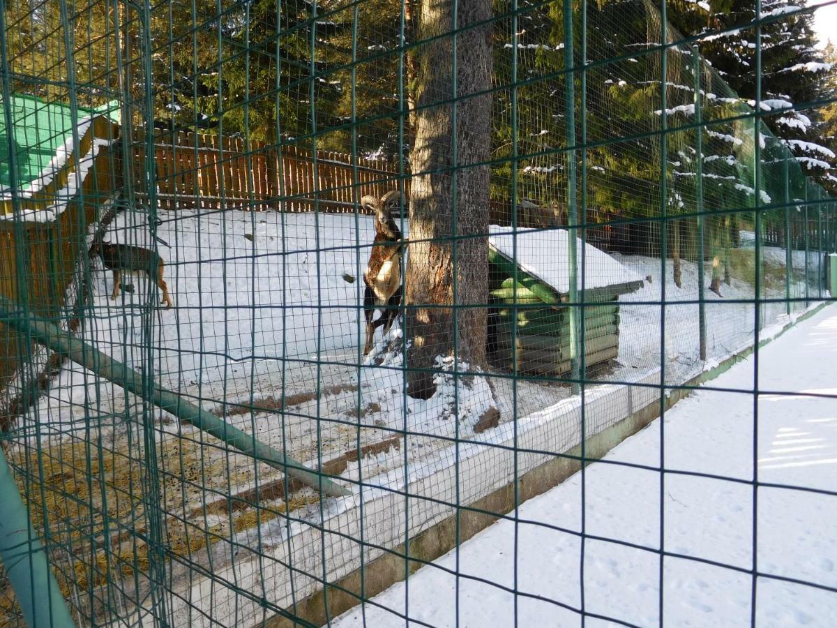 Apartamento High Tatras - Patris 27 Tatranská Štrba Exterior foto